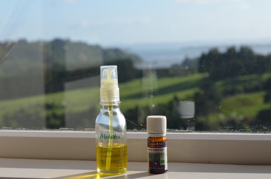 Les Petites Choses de Fanny