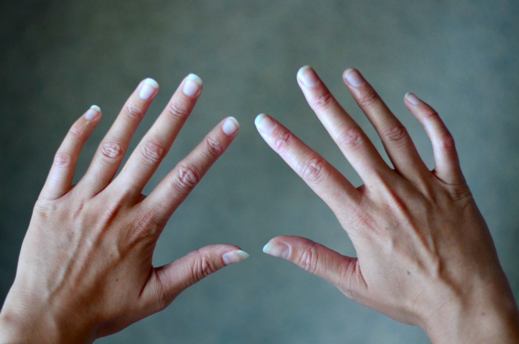 Les Petites Choses de Fanny